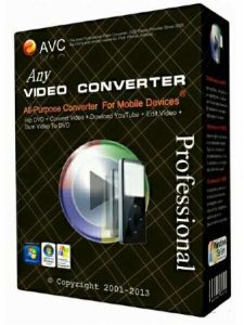  Any Video Converter Professional 5.9.0 
